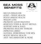 SEA MOSS (PLAIN) 16.oz