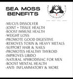 SEA MOSS (PLAIN) 16.oz